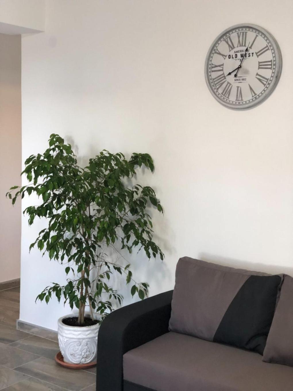 Apartments Milja - 10 M From Sea Mandre Bagian luar foto